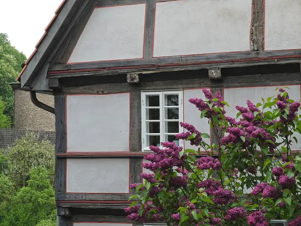 有花和红色屋顶的房子 有紫丁香花的半木质窗户 — 图库照片