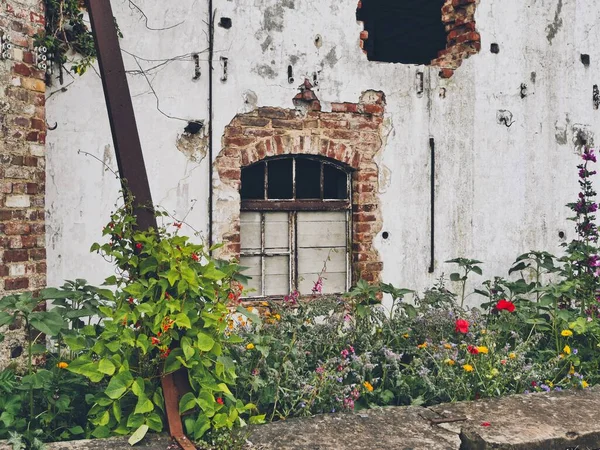 Antigua Casa Piedra Con Flores Flor Frente — Foto de Stock