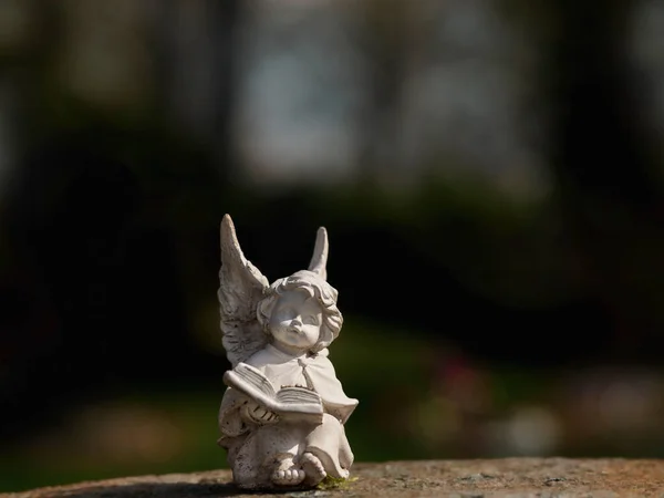 Статуя Маленького Ангела Деревянной Скамейке — стоковое фото