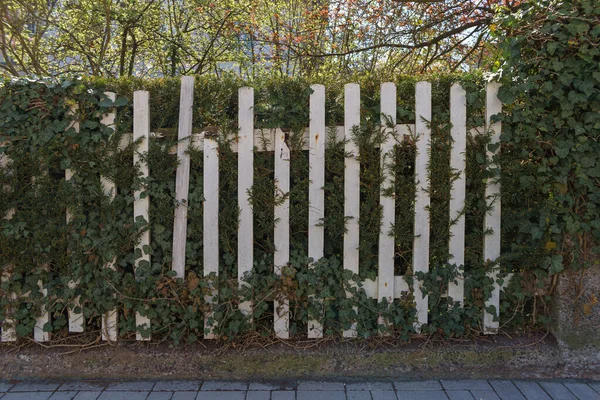 Cerca Casa Velha Com Ferro Folhas Verdes Árvores Grande Muro — Fotografia de Stock