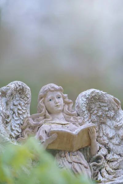 angel statue in the cemetery, Little angel with book in park