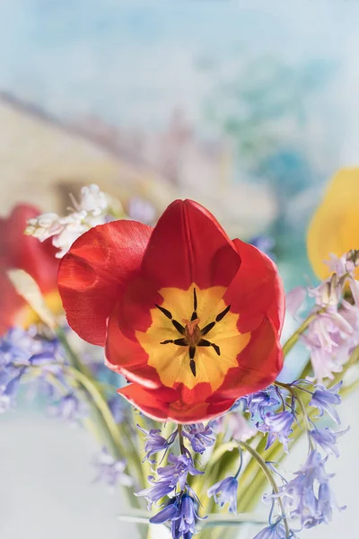Krásné Květiny Listy Letní Pozadí Jednotné Červené Květy Tulipán — Stock fotografie