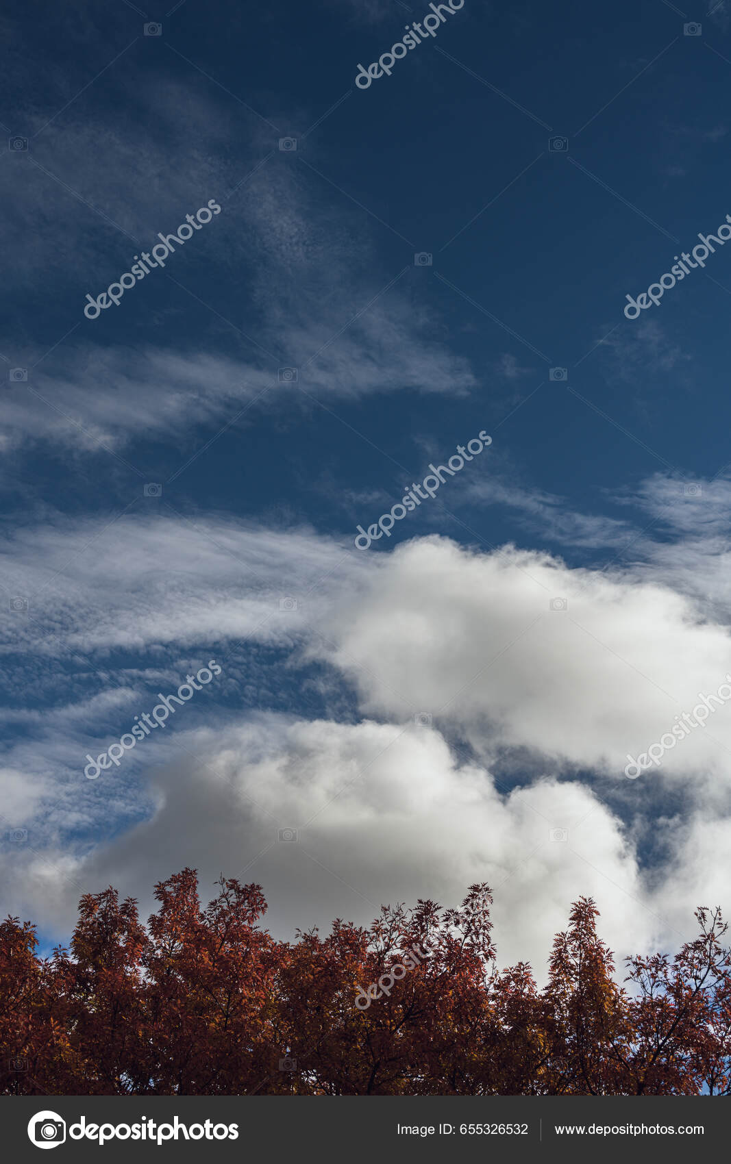 Céu azul do pôr do sol com nuvens como visão panorâmica hdri 360 sem  costura com zênite em formato equiretangular esférico para uso em gráficos  3d ou desenvolvimento de jogos como cúpula