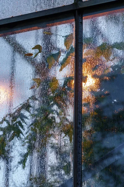 the window of the house, Light in the glass house in the evening, from the outside