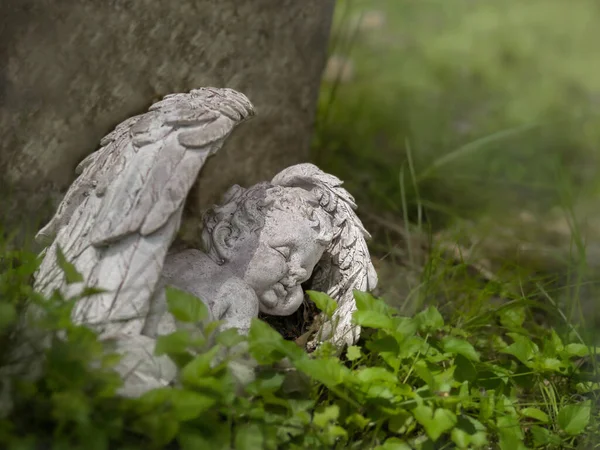 Angel Statue Cemetery Lying Little Angel Meadow — Stock Photo, Image