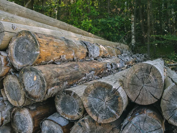 木の山 冬の薪 — ストック写真