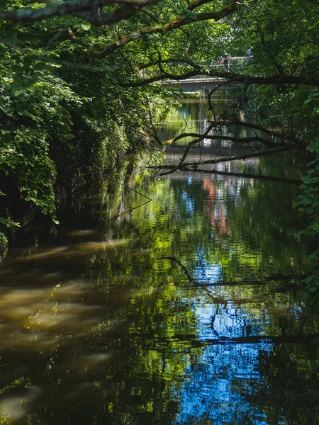 Όμορφη Θέα Του Ποταμού Lahn Δάσος Στο Marburg Ρομαντική Πορεία — Φωτογραφία Αρχείου