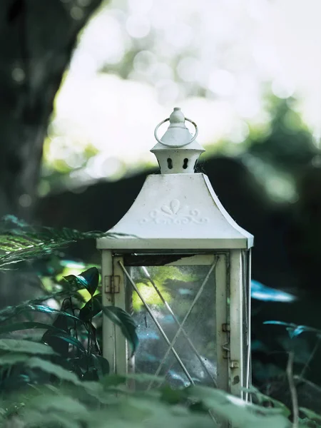 Lanterna Bonita Jardim — Fotografia de Stock
