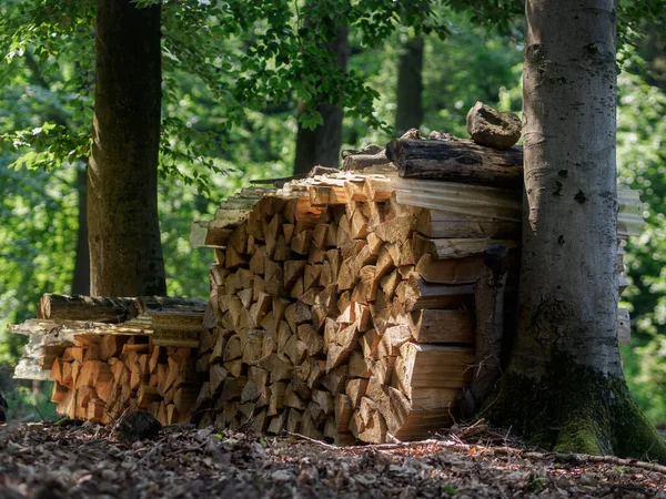 山林面積木材分割 — ストック写真