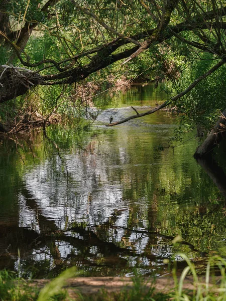 ニーダーヴァイマル マーブルク近郊のラナウエ川の小さな川 — ストック写真