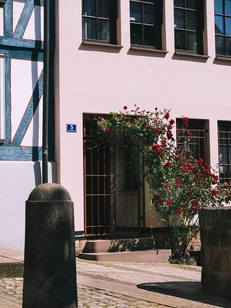 马尔堡老城 有格子和红玫瑰的门 — 图库照片