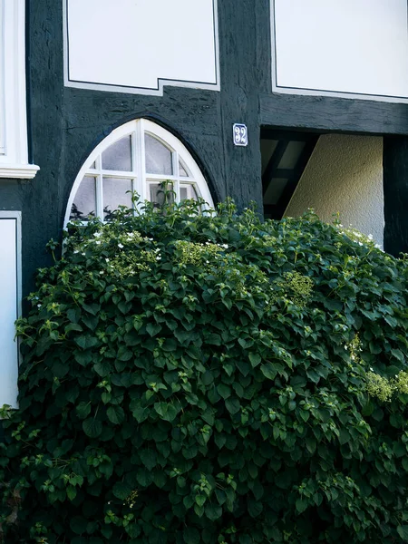 Casco Antiguo Marburgo Casa Desde Exterior Ventana Puerta Cubierta Arbusto — Foto de Stock