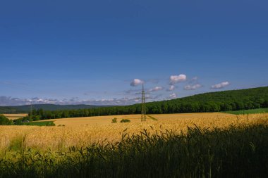 Marburg 'un dışındaki tahıl tarlaları, ormanlar ve elektrik direkleri