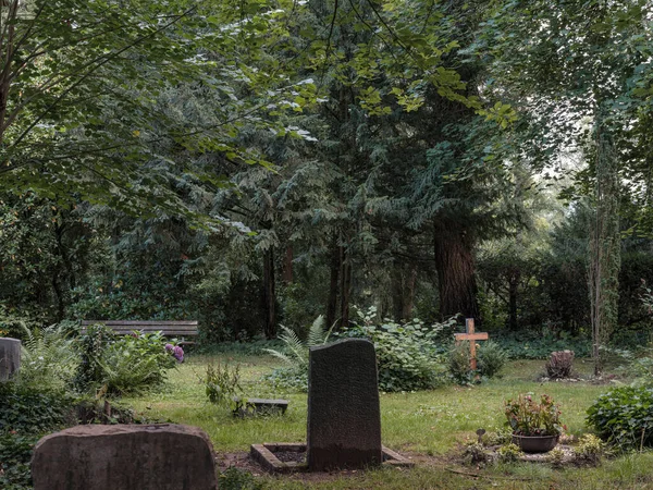 森林公園の墓地と樹木と茂み — ストック写真