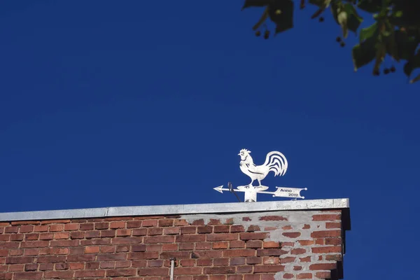 白色砖墙屋顶上一只小鸟的低角度镜头 韦瑟考克在阳光下闪闪发光 — 图库照片