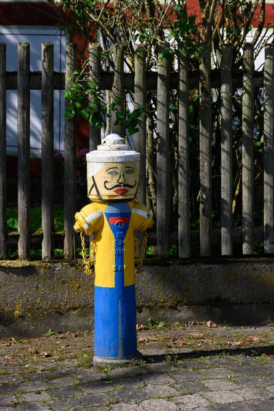 Water Hydrant Funny Painted — Stock Photo, Image