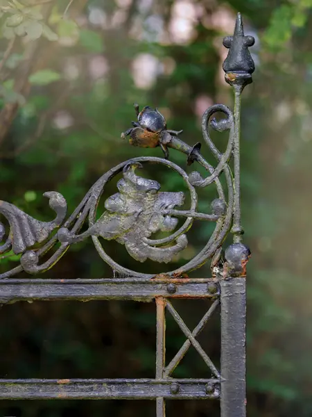 Zdobená Zahradní Brána Tepané Železo — Stock fotografie