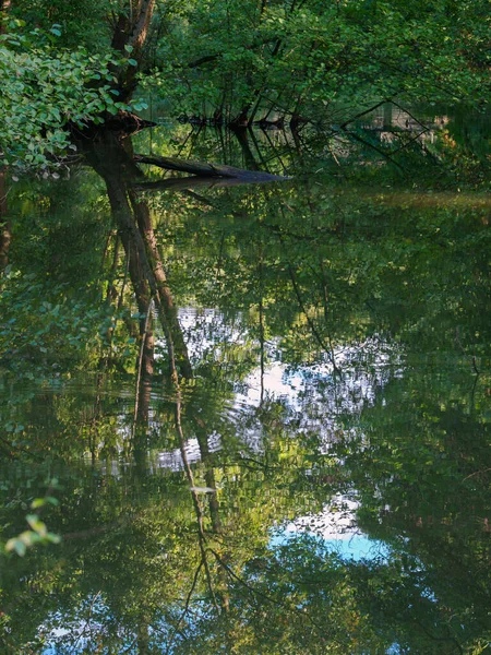 Den Lilla Lahn Marburg Rinnande Vatten Naturlig Bana Med Stenar — Stockfoto