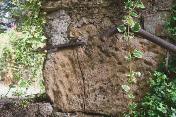Марбургский Замок Парк Стена Зелеными Растениями Перед Перилами Старая Стена — стоковое фото