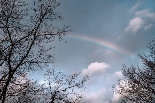 After the rain, suddenly a beautiful rainbow in the sky over trees, Marbach Rotenberg