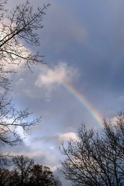 After the rain, suddenly a beautiful rainbow in the sky over trees, Marbach Rotenberg
