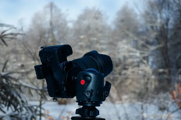 Camera on tripod in winter forest