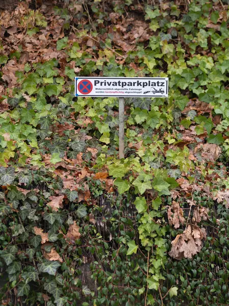 Most popular sign in Germany, My parking lot,Wall overgrown with ivy