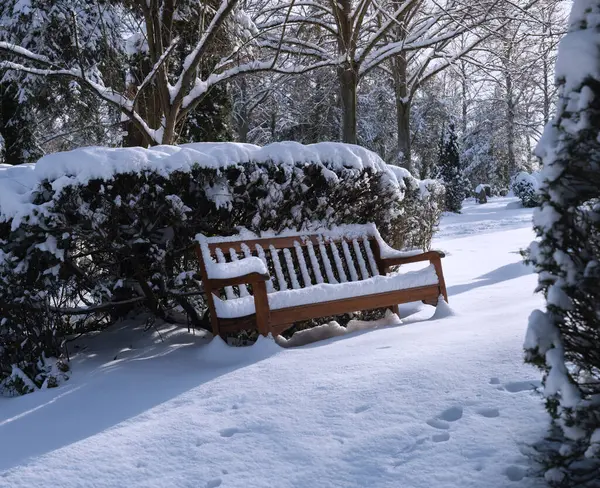 Winter weather, snow, in the park with a bench in front of a hedge under trees
