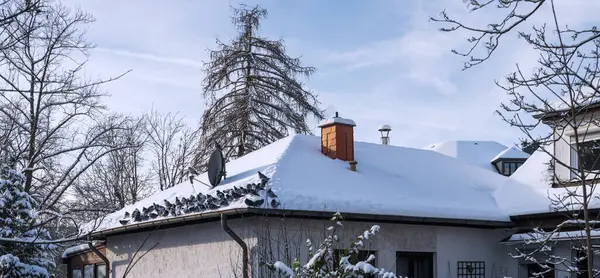 a house in the snow in the village. high quality photo. Snow on the roof of a house with many pigeons sitting there