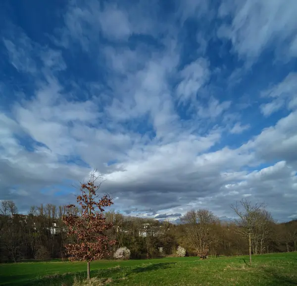 Evening clouds over the fields in Marbach, March, wide angle perspective