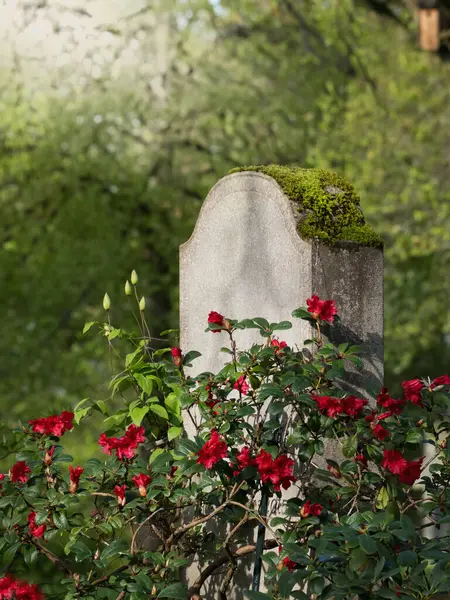 red stone cemetery with green plants and flowers