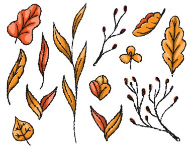 Vektör sonbahar yaprakları, ağaç dalları, sonbahar botaniği