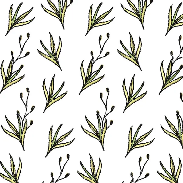 植物の草パターン 透明な背景の継ぎ目が無いパターン ベクトル植物 — ストックベクタ