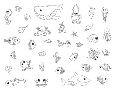 Deniz piyadeleri, beyaz arka planda okyanus karakterleri. Çocuk eğitimi, okul için boyama kitabı