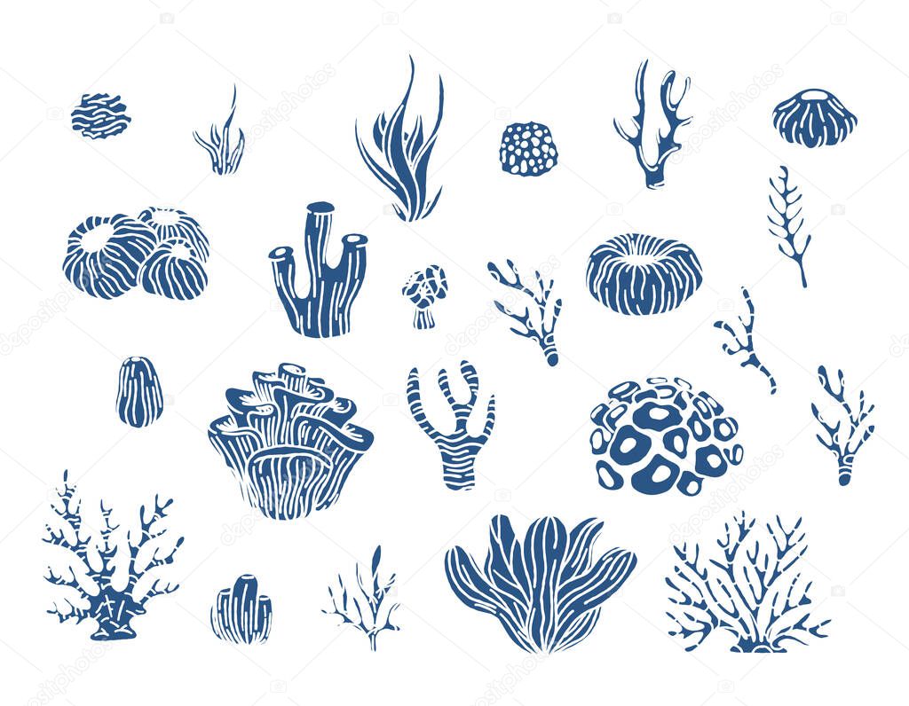 Coral reef and algae underwater plants vector. Aquarium, ocean and underwater algae, water life isolated on white background. Coral doodle set