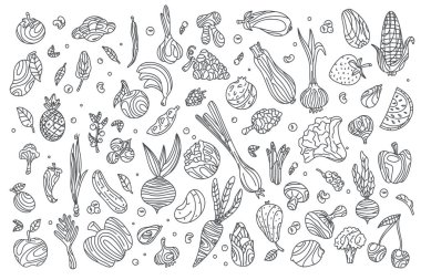 Beyaz arka planda karalama sebzeleri ve meyveler, sağlıklı yiyeceklerin vektör grafikleri. Meyveler ve sebzeler karalama tarzında, taslak. Yemek tasarımı için resim. Vejetaryen ürünleri