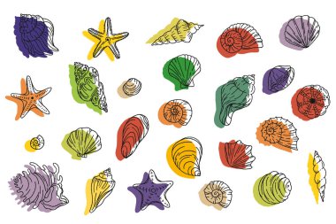 El yapımı deniz kabukları el yapımı deniz tasarımı, soyut pastel renklerin toplanması sıvı şekiller. Vektör grafik illüstrasyonu.