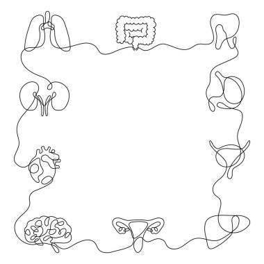Tek sıra insan organları kusursuz desen. Minimalist anatomi geçmişi, devamlı karaciğer, kalp, akciğer, böbrekler, mide. Tıbbi tasarım ve ambalaj için şeffaf vektör çizimi.