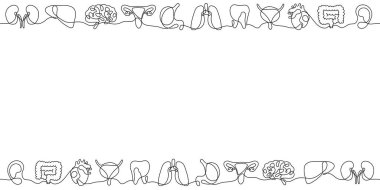 Tek sıra insan organları kusursuz desen. Minimalist anatomi geçmişi, devamlı karaciğer, kalp, akciğer, böbrekler, mide. Tıbbi tasarım ve ambalaj için şeffaf vektör çizimi.