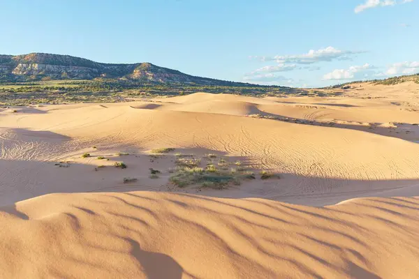 The stunning Coral Pink Sand Dunes State Park in southern Utah. The dunes were formed by high winds blowing through a notch between the Moquith and Moccasin Mountains.