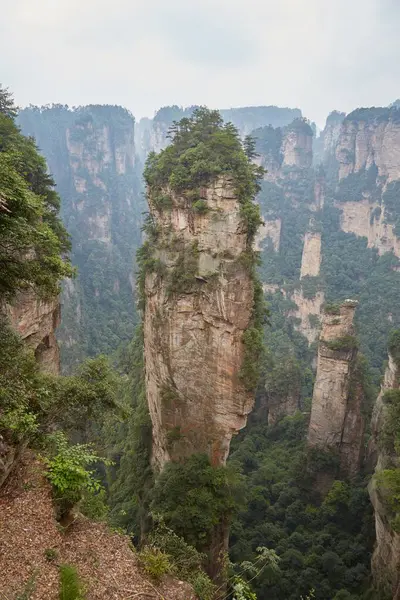 Zhangjiajie National Forest Park is one of Chinas, most breathtaking scenic areas. Situated in Hunan Province, the park is known for its huge sandstone pillars formed by many years of water erosion.