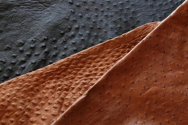 Oudtshoorn Brown Ostrich Leather Handbag