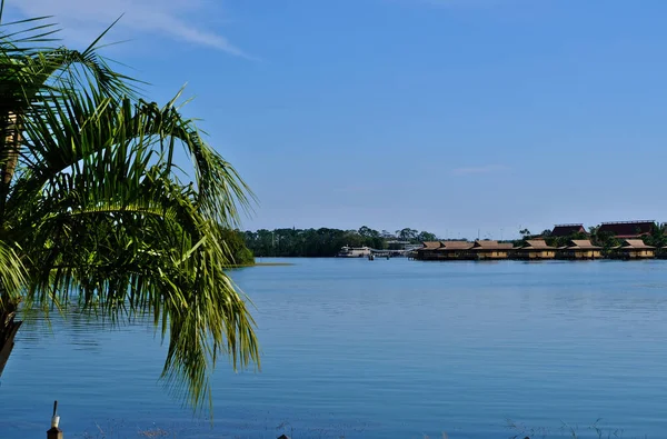 熱帯の環境で遠くの建物を反映した美しい湖 — ストック写真