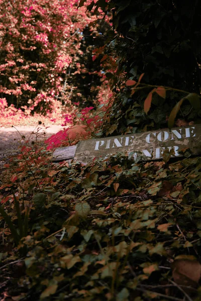 Woodland trail, autumn forest with trees and lose leaves. Trail signs guiding the way