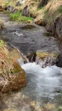 İsviçre Alplerinde bir yerde Clip4