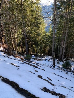 İsviçre Alplerinde bir yerde # 12