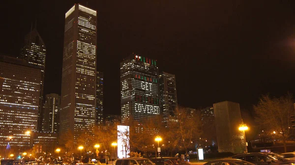Чикаго Илья Оис Сша Зимняя Ночь Парке Миллениум Millennium Park — стоковое фото