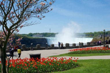 NIAGARA FALLS, ONTARIO, CANADA - 21 Mayıs 2018: Şelalenin Candian tarafından ilkbahar çiçekleri ile At Nalı Şelalesi manzarası.