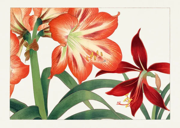 Arte Asiática Arte Bloco Madeira Flor Japonesa — Fotografia de Stock