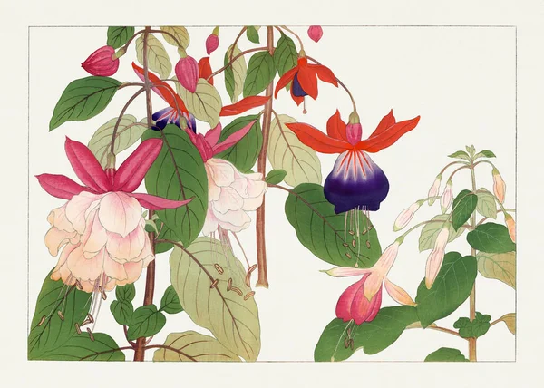 アジア美術 日本の花木版画 — ストック写真